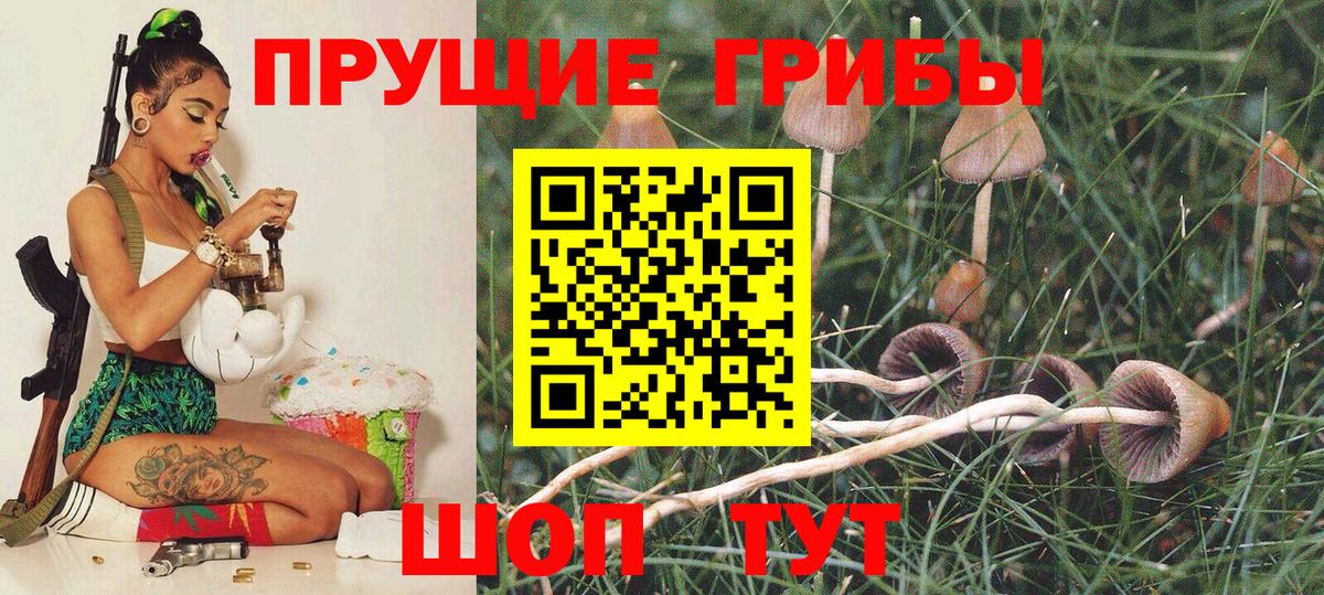 Галлюциногенные грибы Cubensis  Вход с VPN  Сухой Лог 